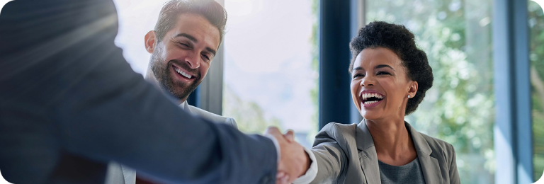 business meeting shaking hands